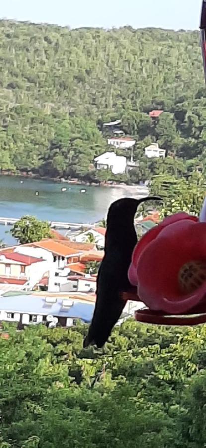Appartement Colibri , Les Anses D 'Arlet Ngoại thất bức ảnh